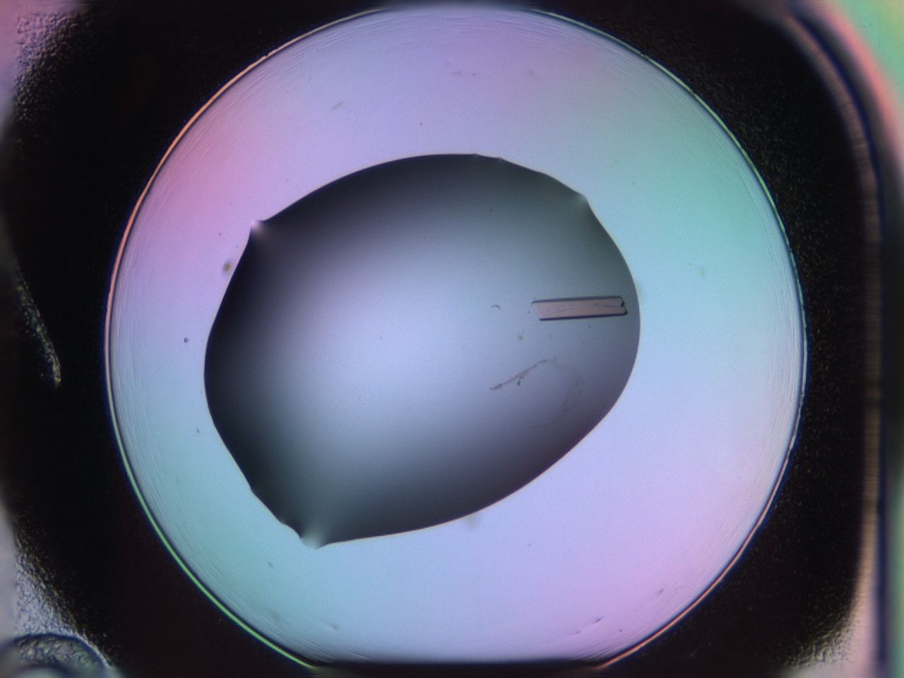 03qj_A12_ImagerDefaults_9.jpg