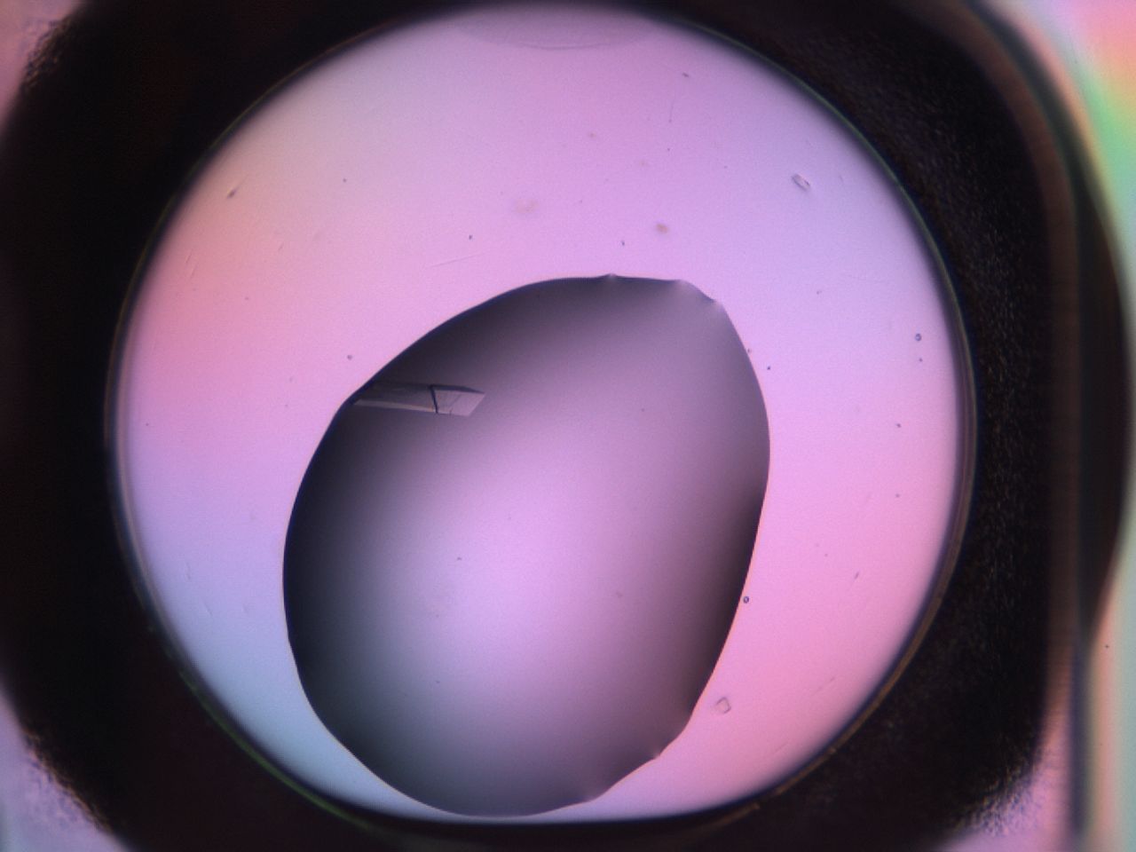 03qj_D4_ImagerDefaults_9.jpg