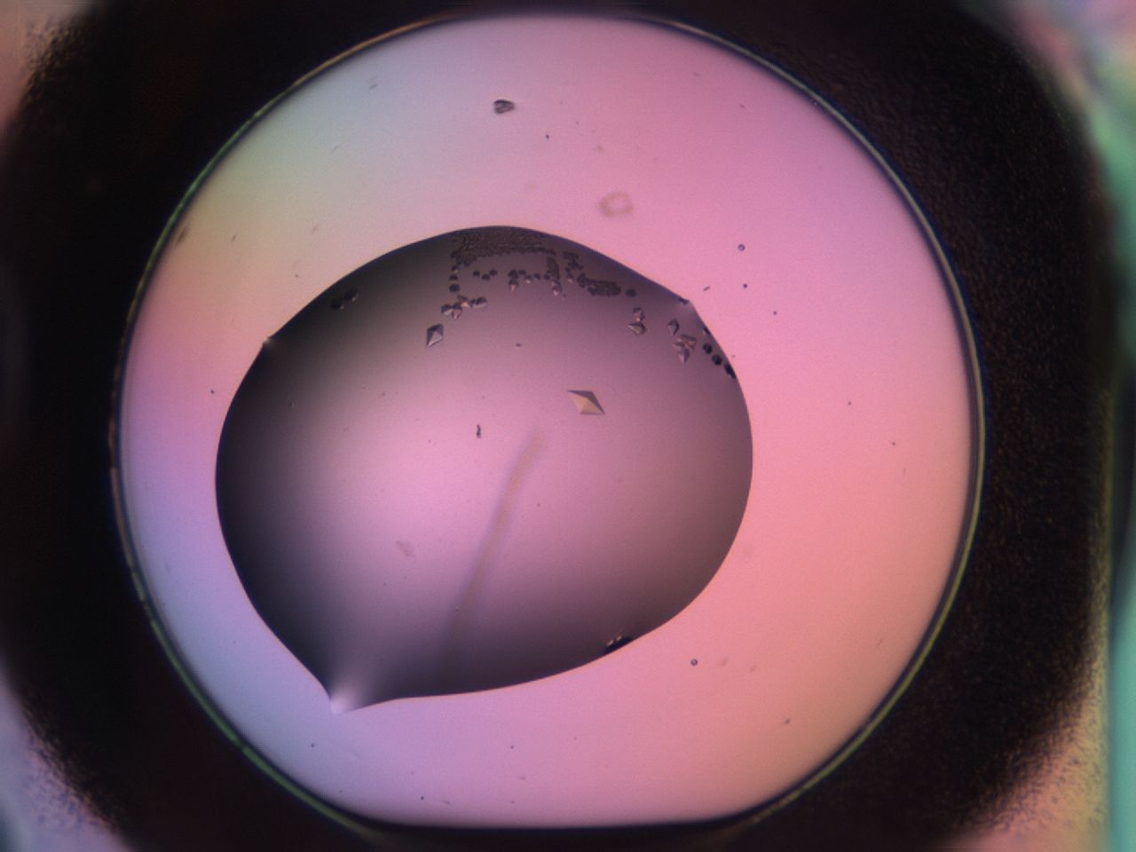03qj_D8_ImagerDefaults_9.jpg