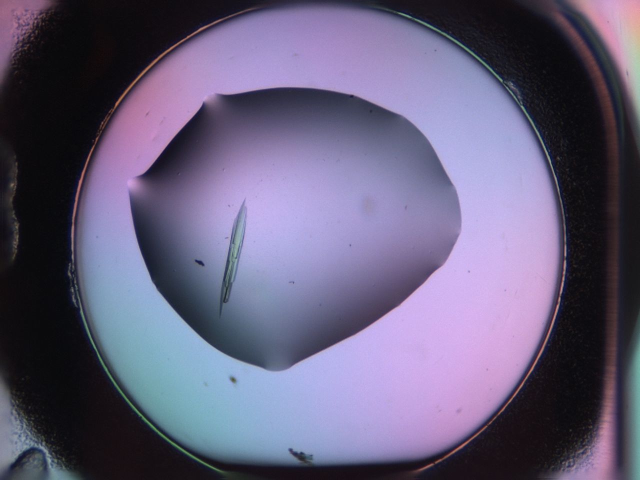 03qj_B11_ImagerDefaults_9.jpg