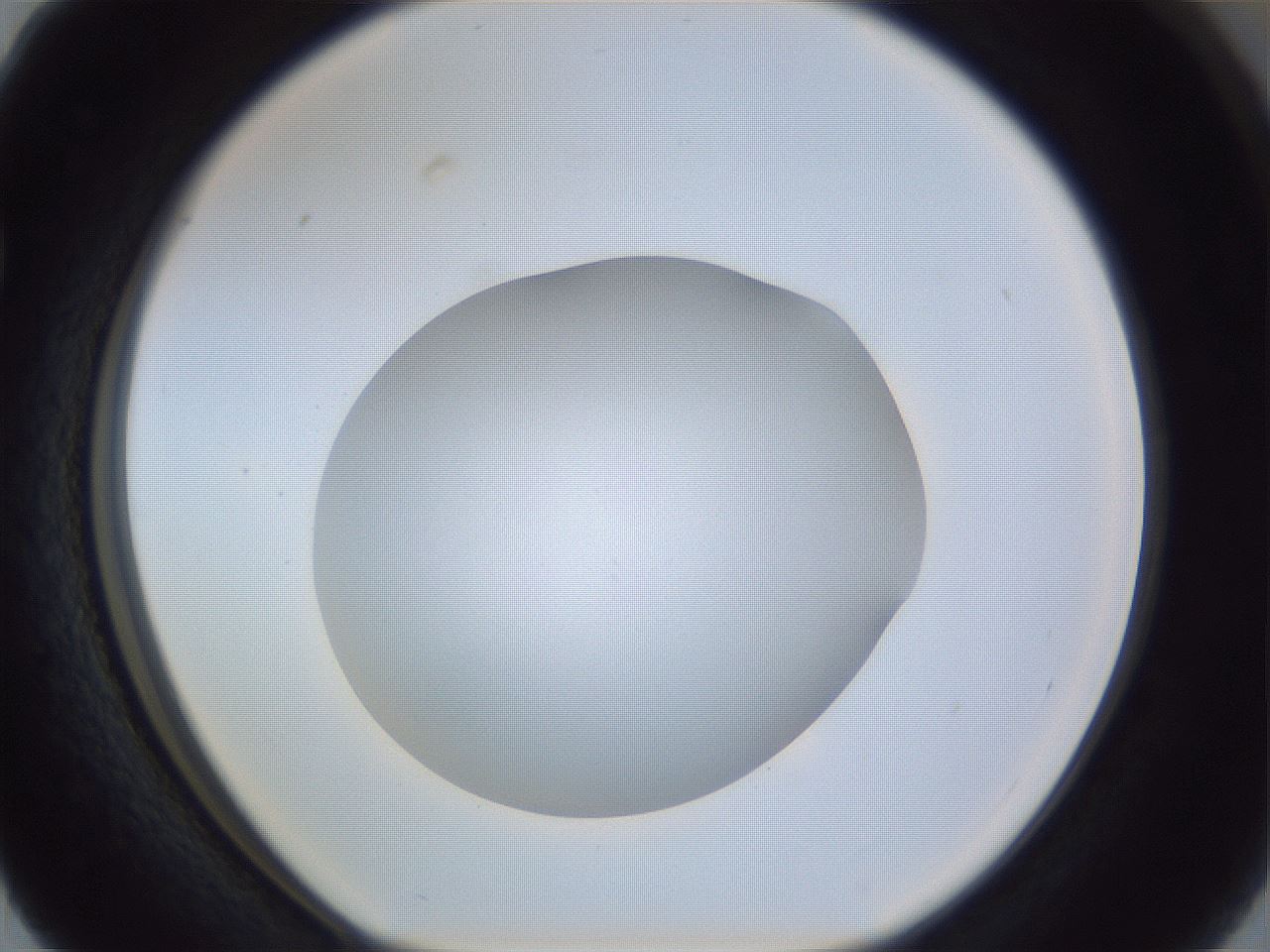 folderID848_plateID1848_batchID7905_wellNum63_profileID1_d1_r125594_ef.jpg