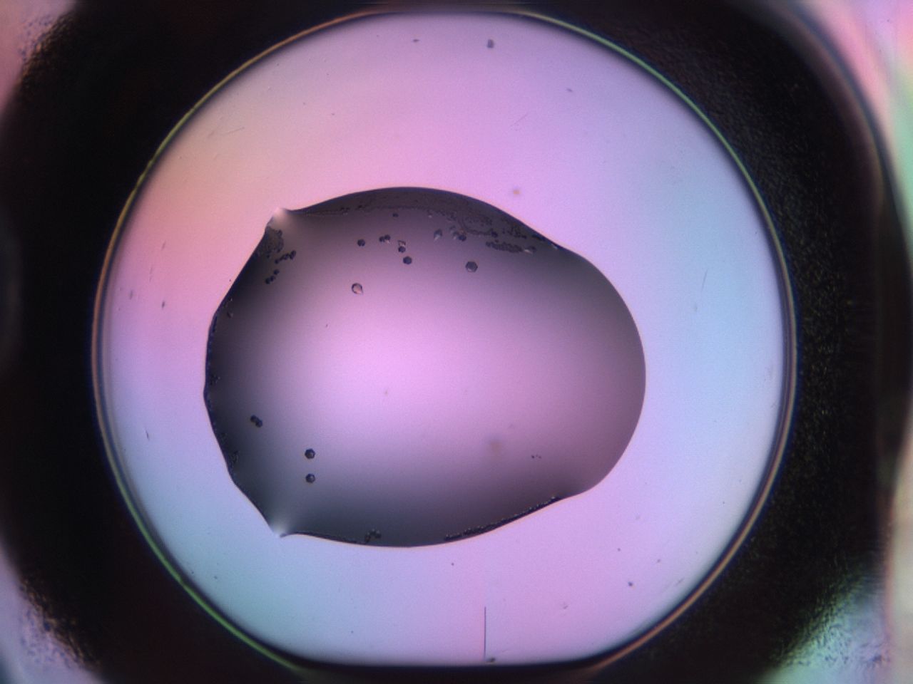 03qj_D9_ImagerDefaults_9.jpg