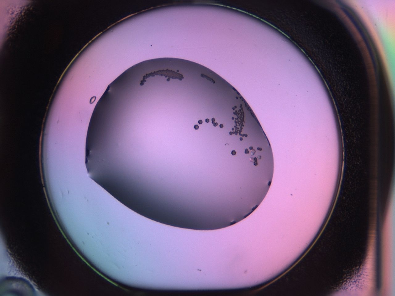 03qj_D10_ImagerDefaults_9.jpg