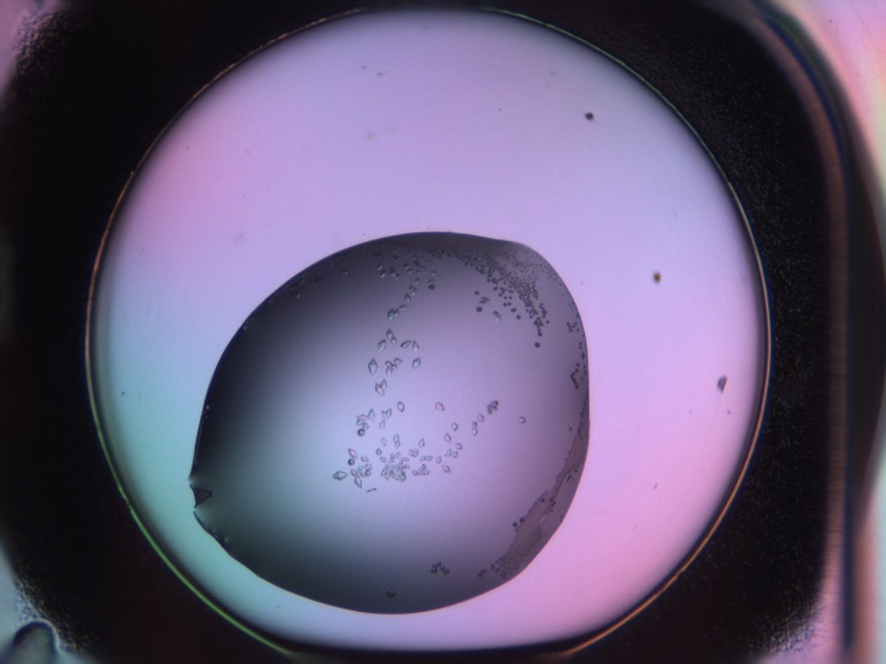 03qj_D11_ImagerDefaults_9.jpg