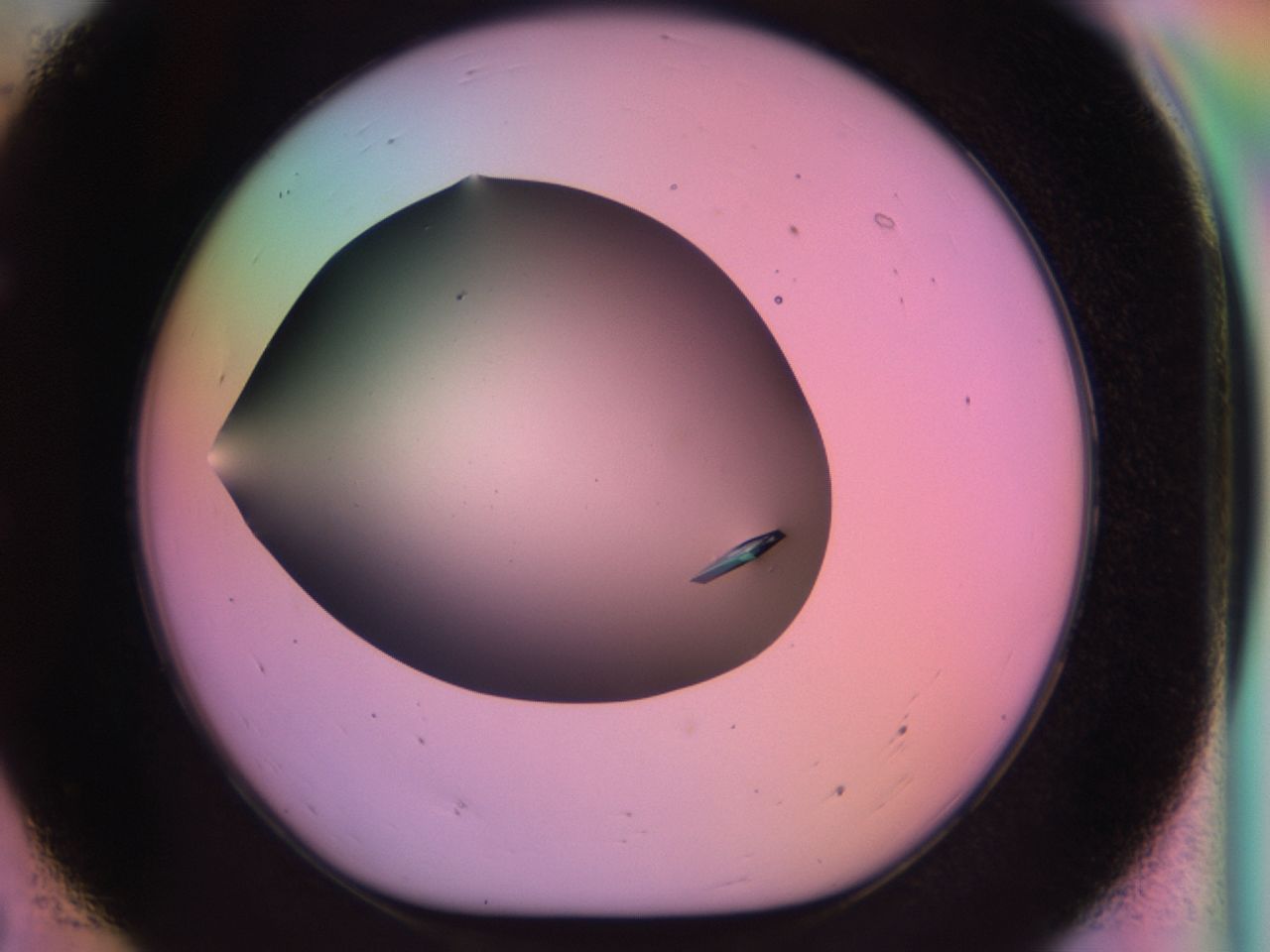 03qj_E7_ImagerDefaults_9.jpg