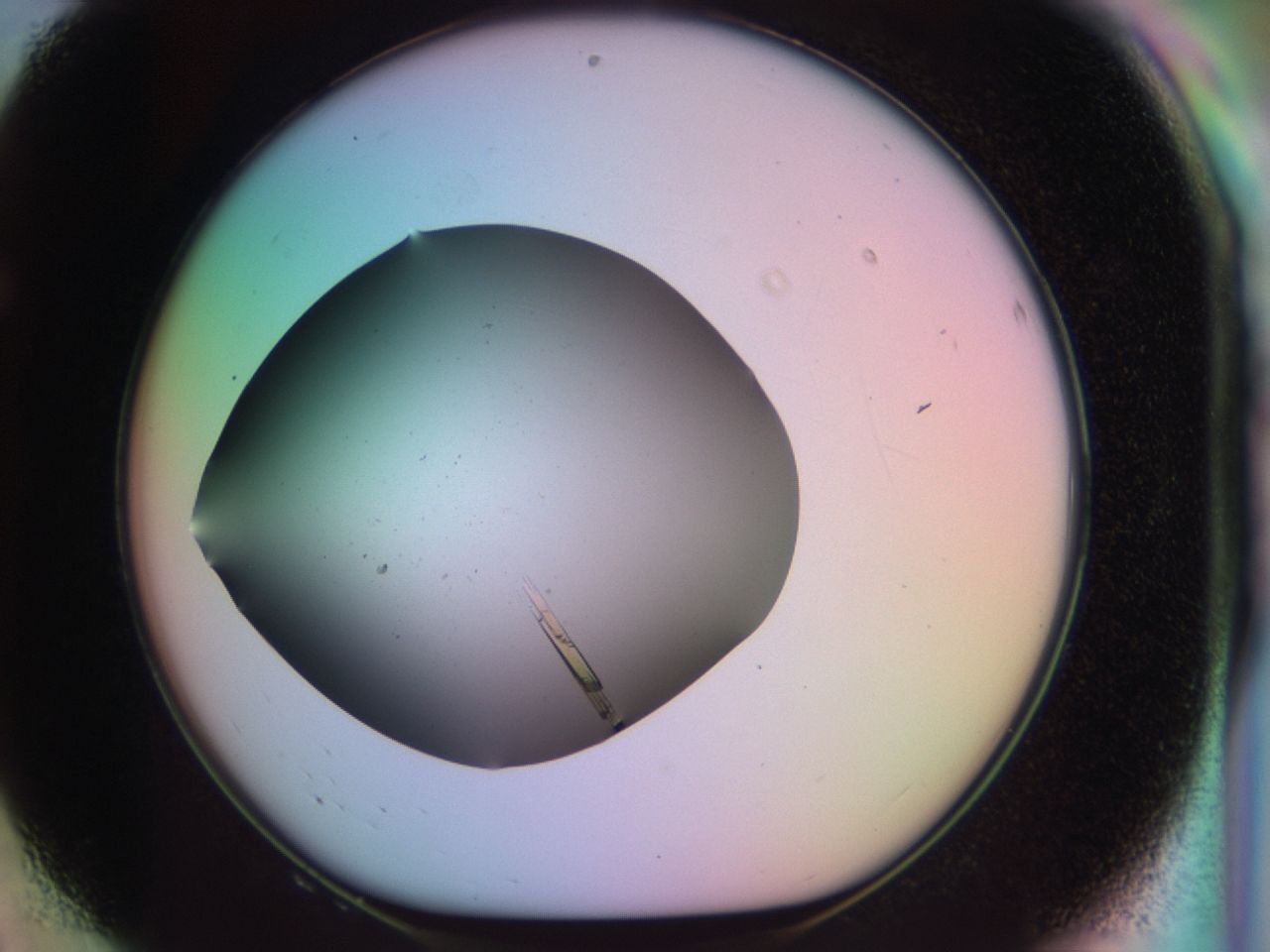 03qj_F8_ImagerDefaults_9.jpg