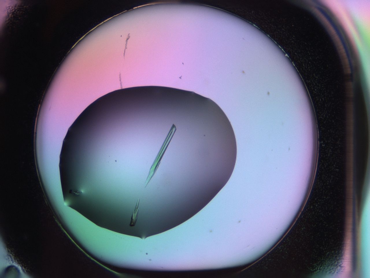 03qj_F11_ImagerDefaults_9.jpg