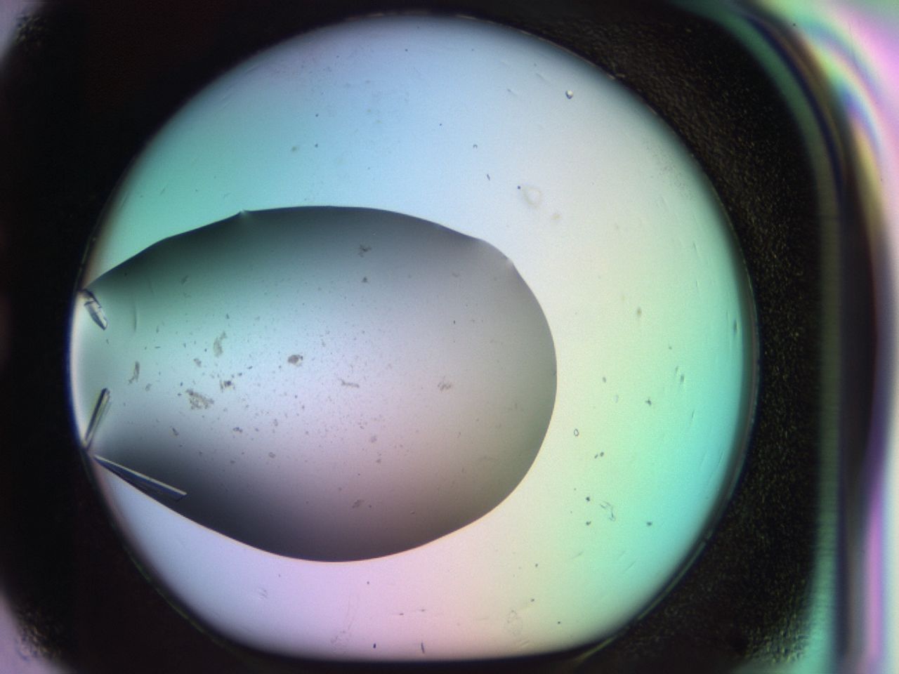 03qj_G8_ImagerDefaults_9.jpg