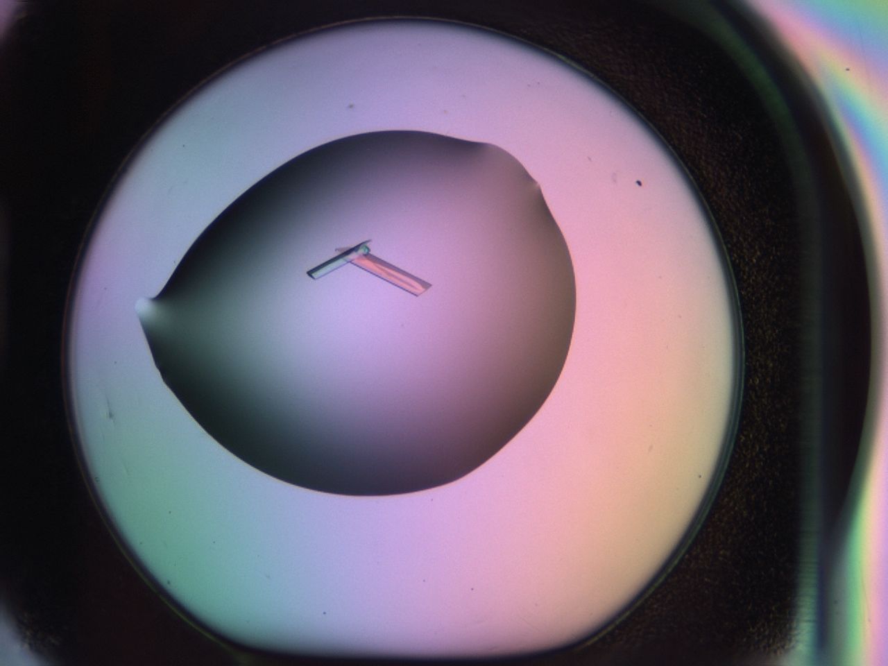 03qj_H5_ImagerDefaults_9.jpg