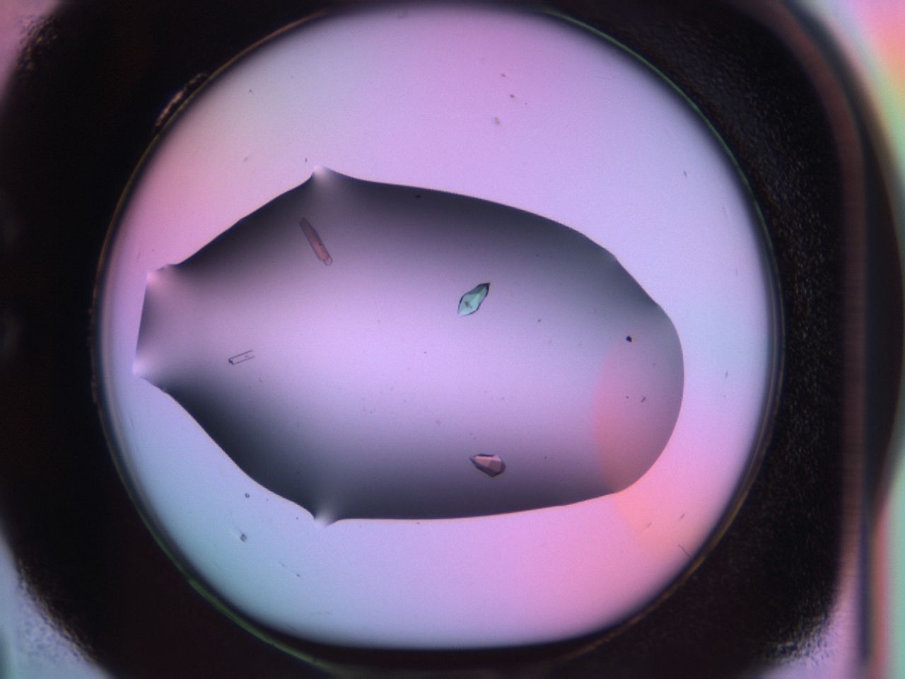 03qk_C4_ImagerDefaults_9.jpg