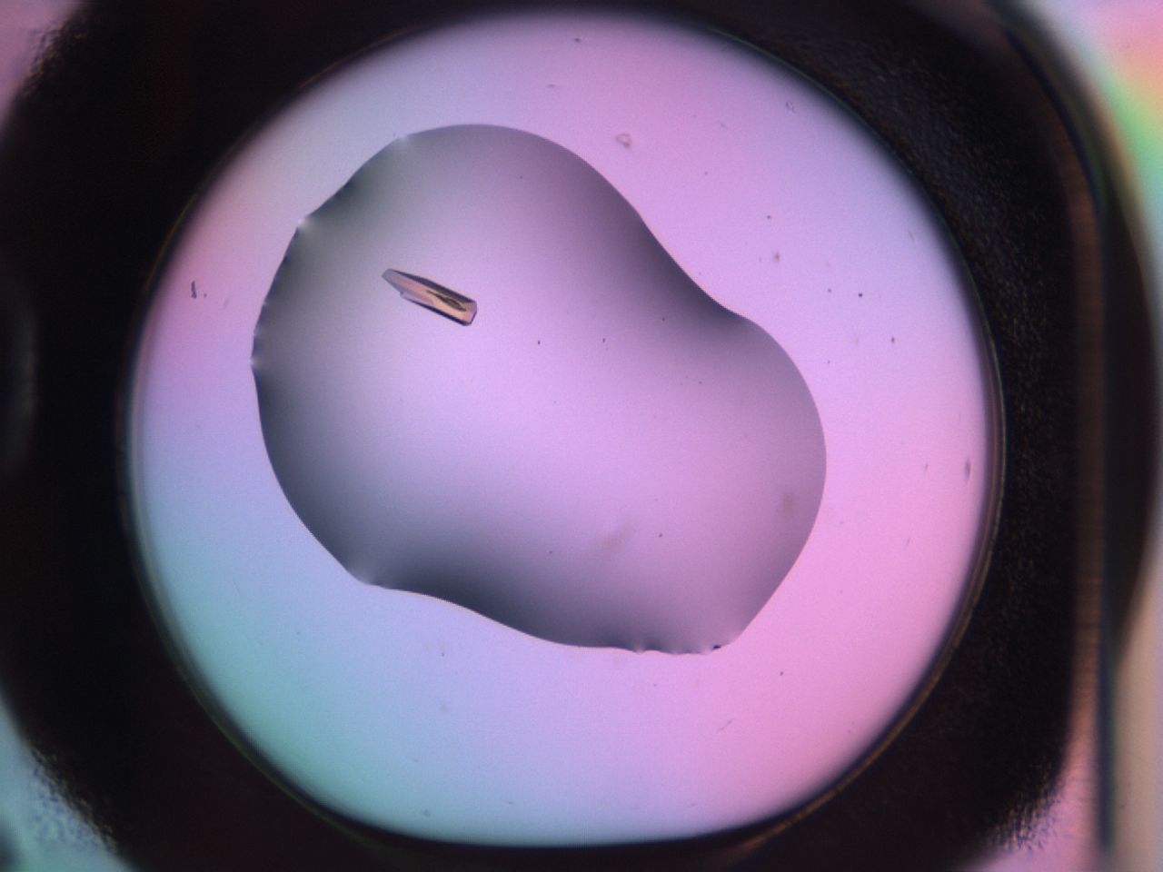 03qk_D6_ImagerDefaults_9.jpg