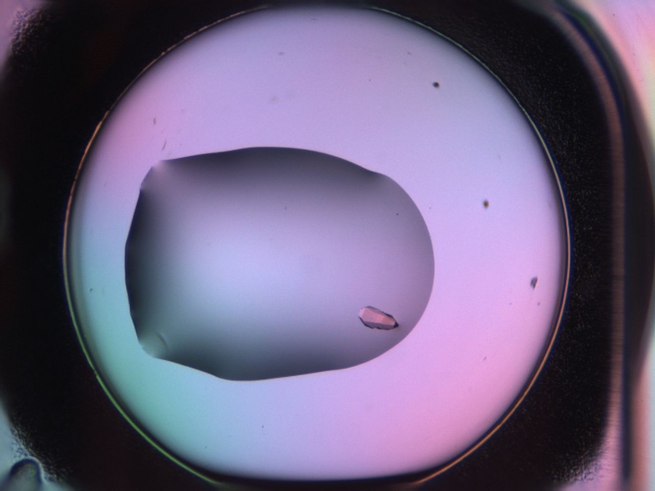 03qk_D11_ImagerDefaults_9.jpg