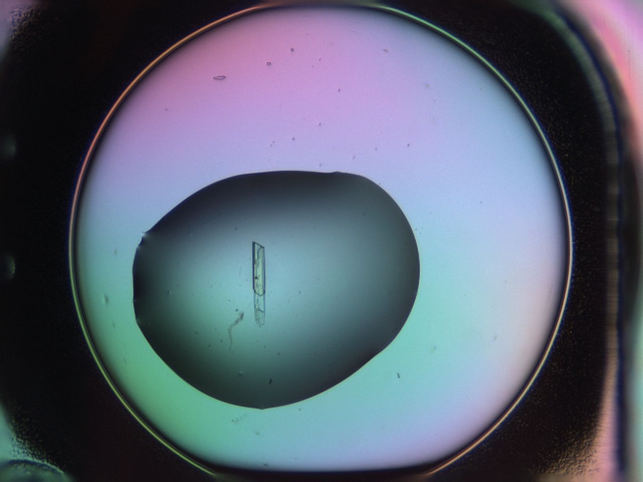 03qk_E12_ImagerDefaults_9.jpg