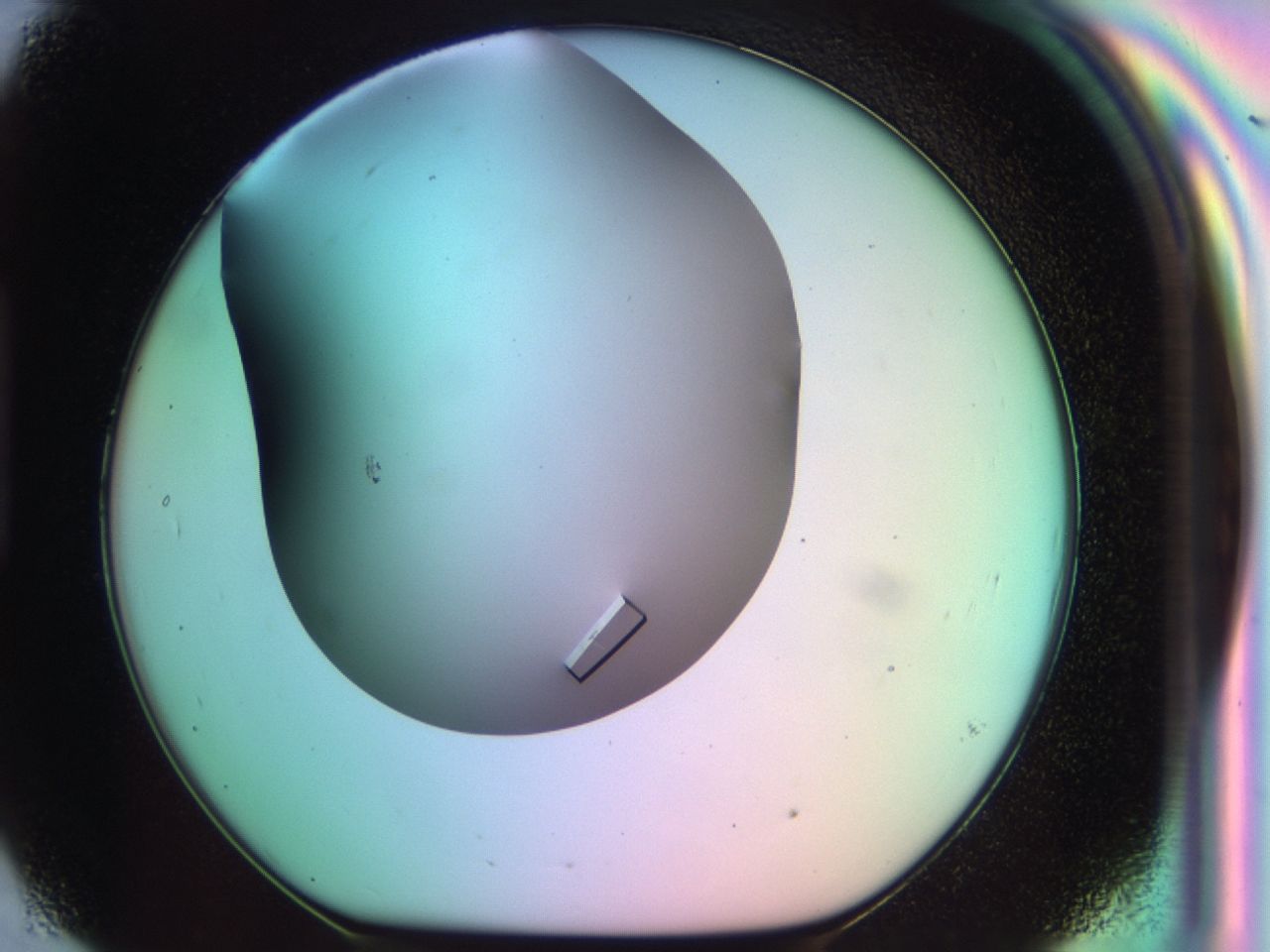 03ql_H9_ImagerDefaults_9.jpg