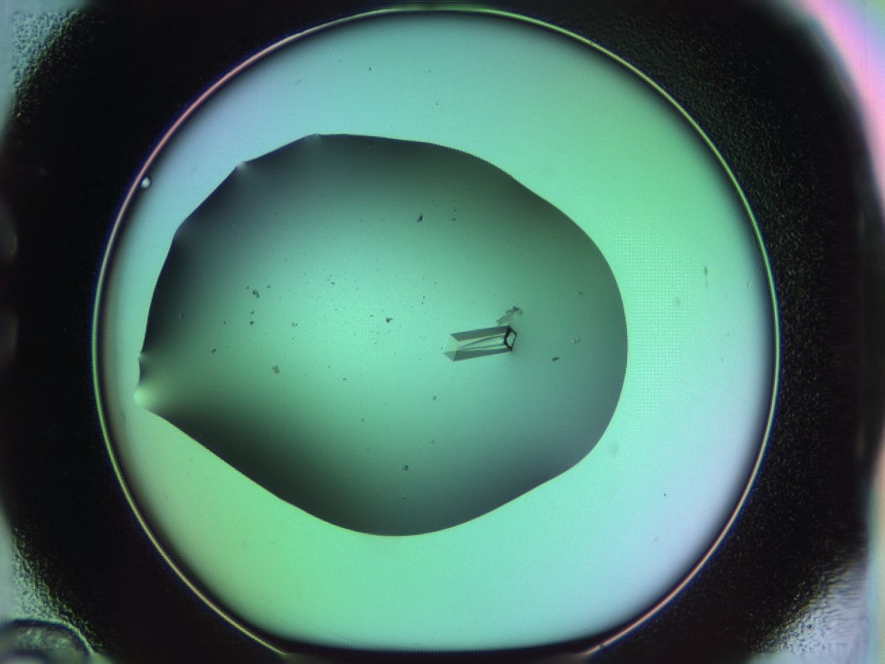 03ql_C12_ImagerDefaults_9.jpg