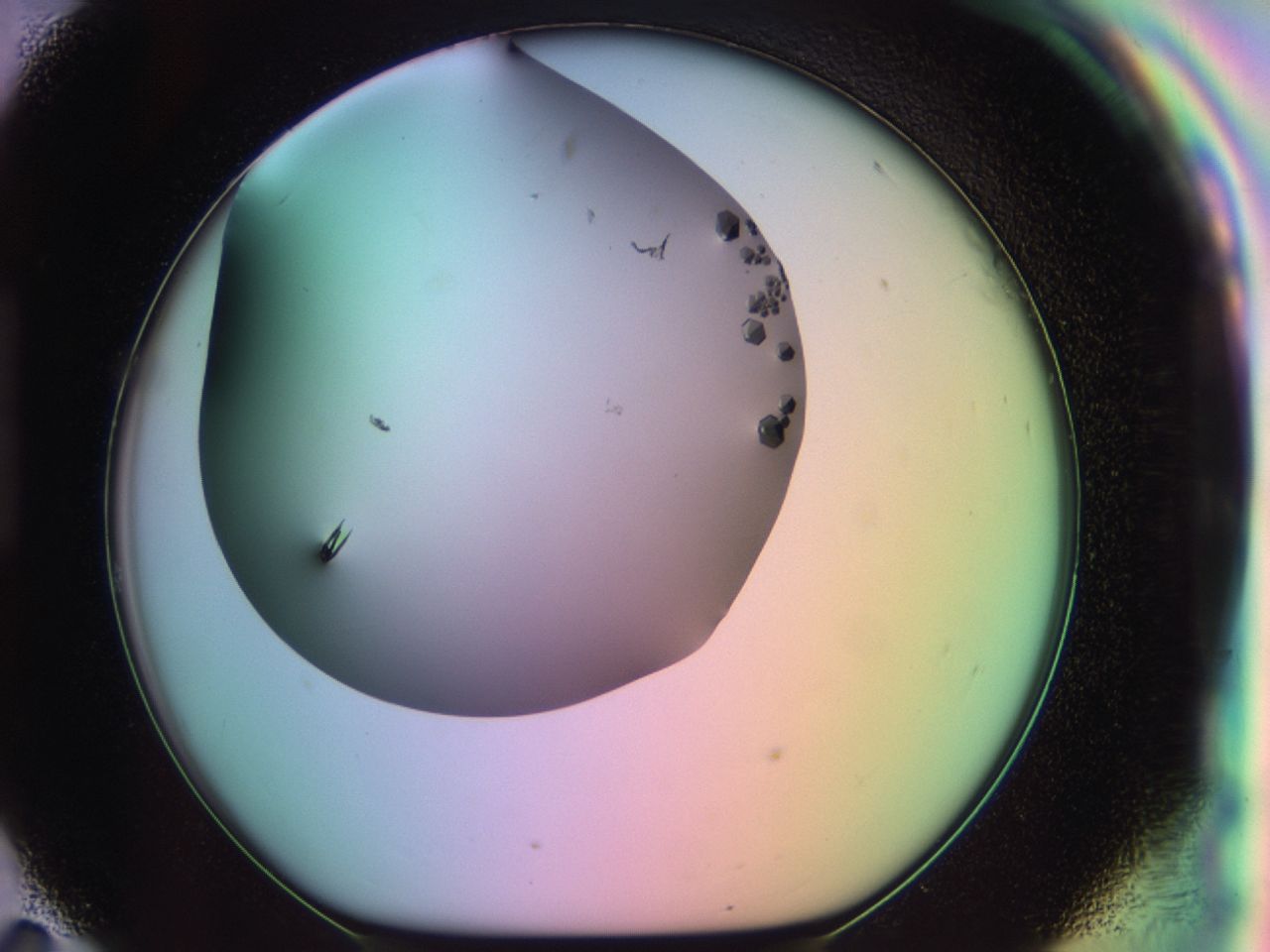 03ql_H11_ImagerDefaults_9.jpg