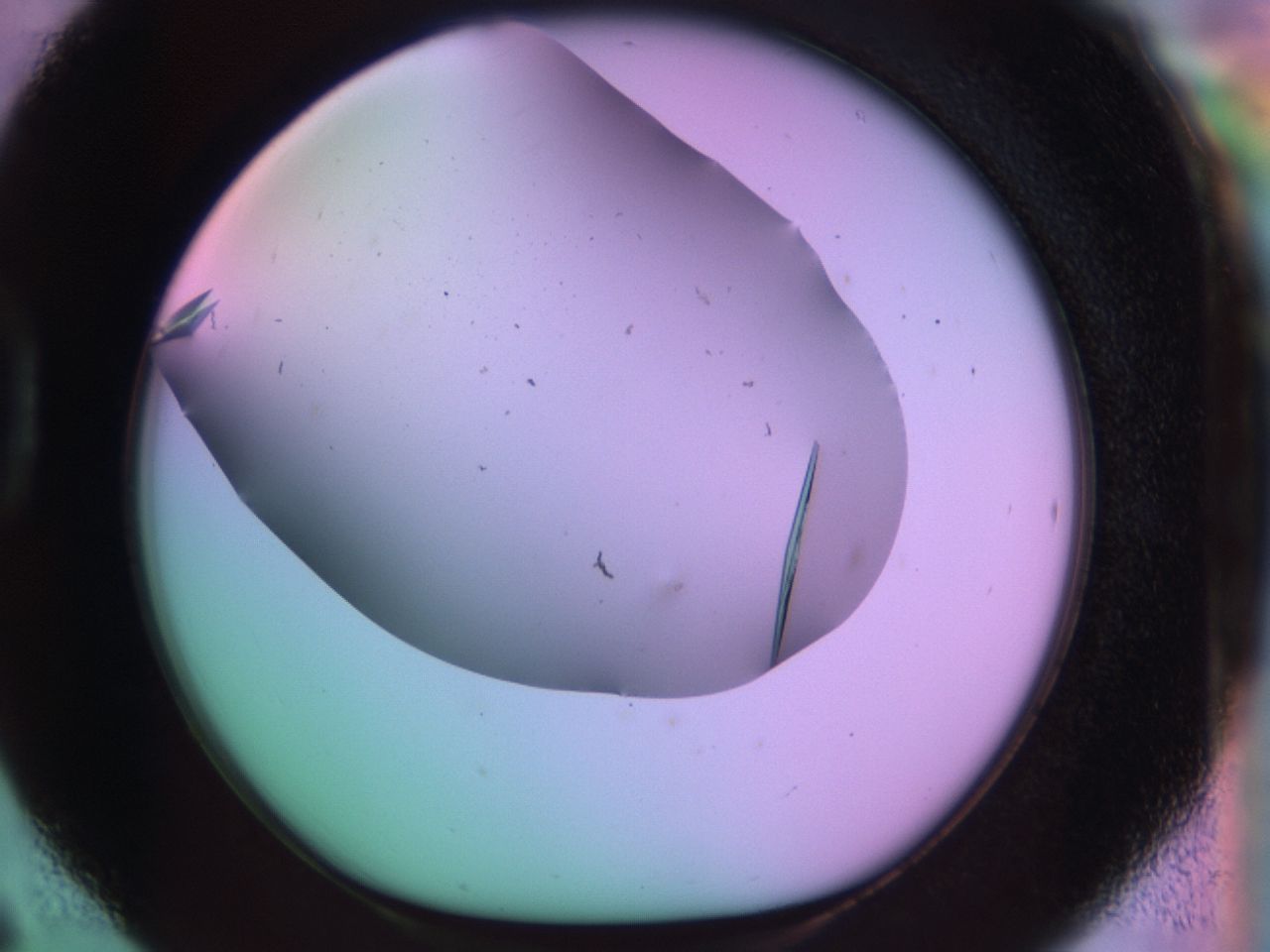 03ql_D6_ImagerDefaults_9.jpg