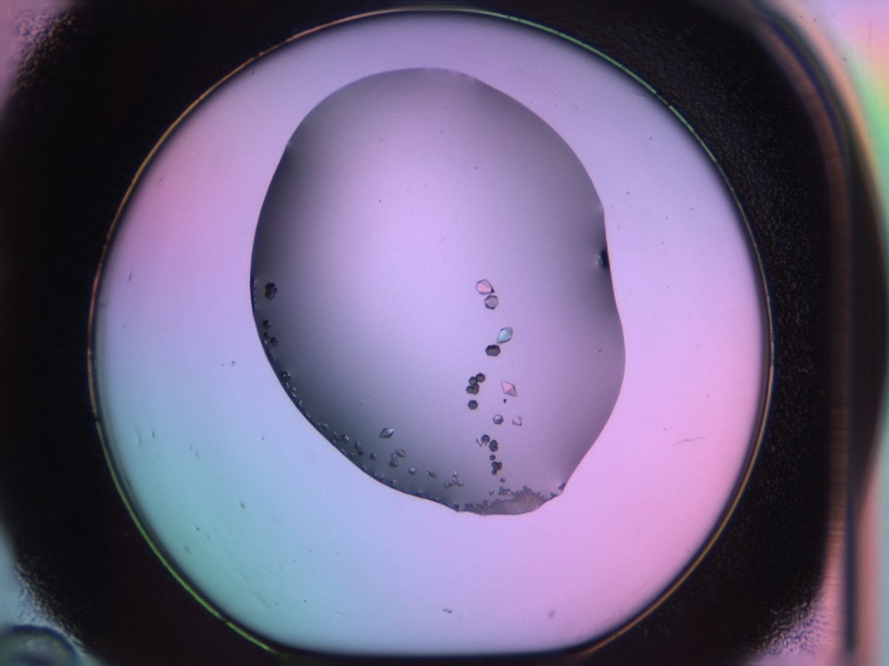 03qm_D10_ImagerDefaults_9.jpg