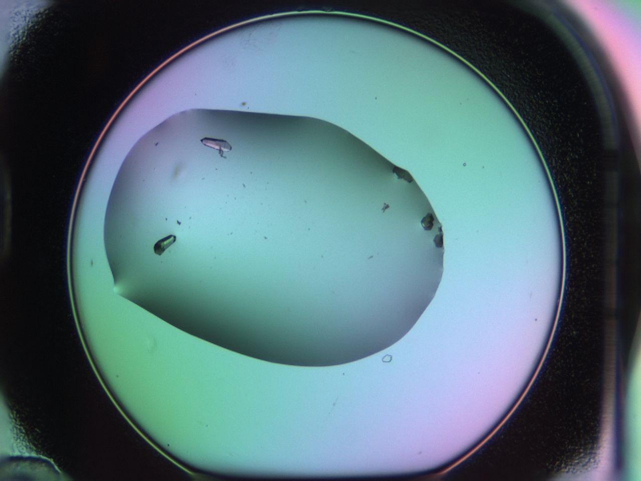 03qm_D12_ImagerDefaults_9.jpg