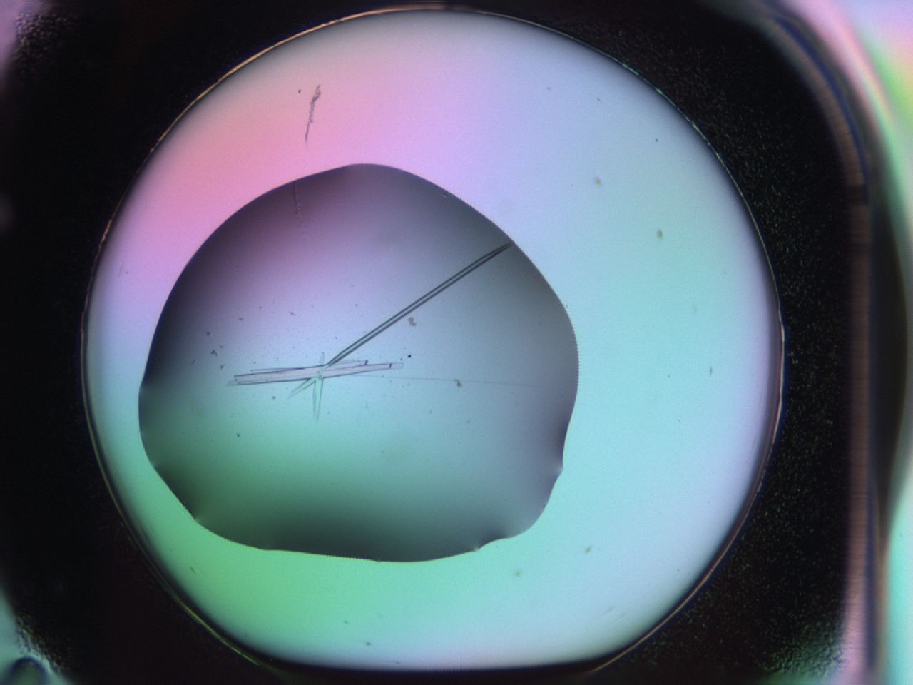 03qm_F11_ImagerDefaults_9.jpg