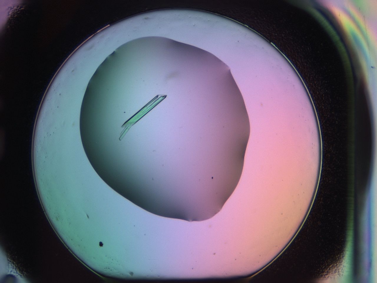 03qm_G11_ImagerDefaults_9.jpg