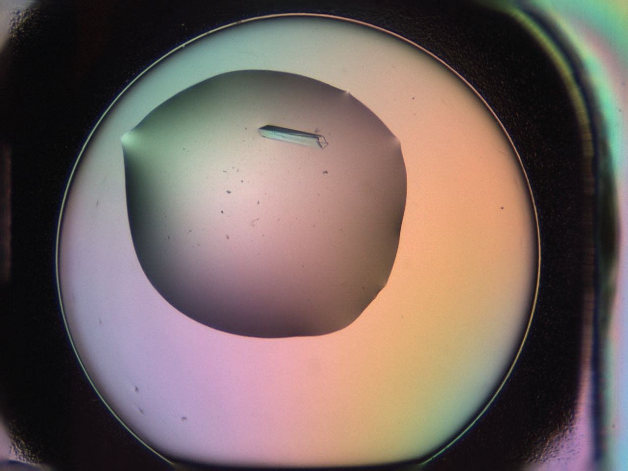 03qm_H12_ImagerDefaults_9.jpg
