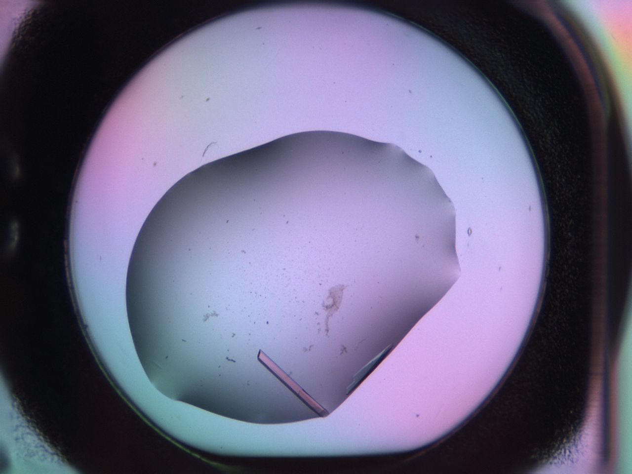 03qn_C6_ImagerDefaults_9.jpg