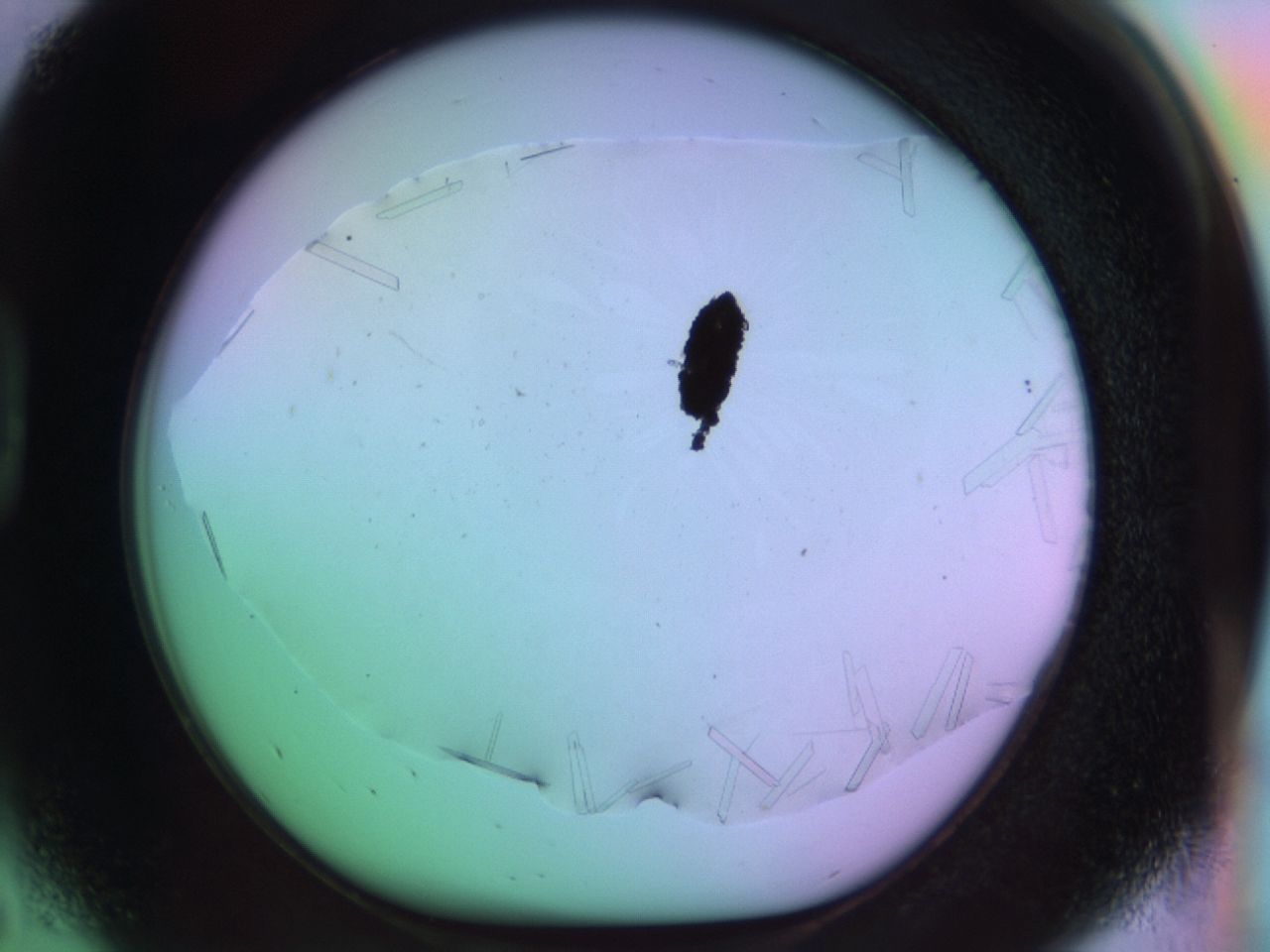 03qn_D5_ImagerDefaults_9.jpg