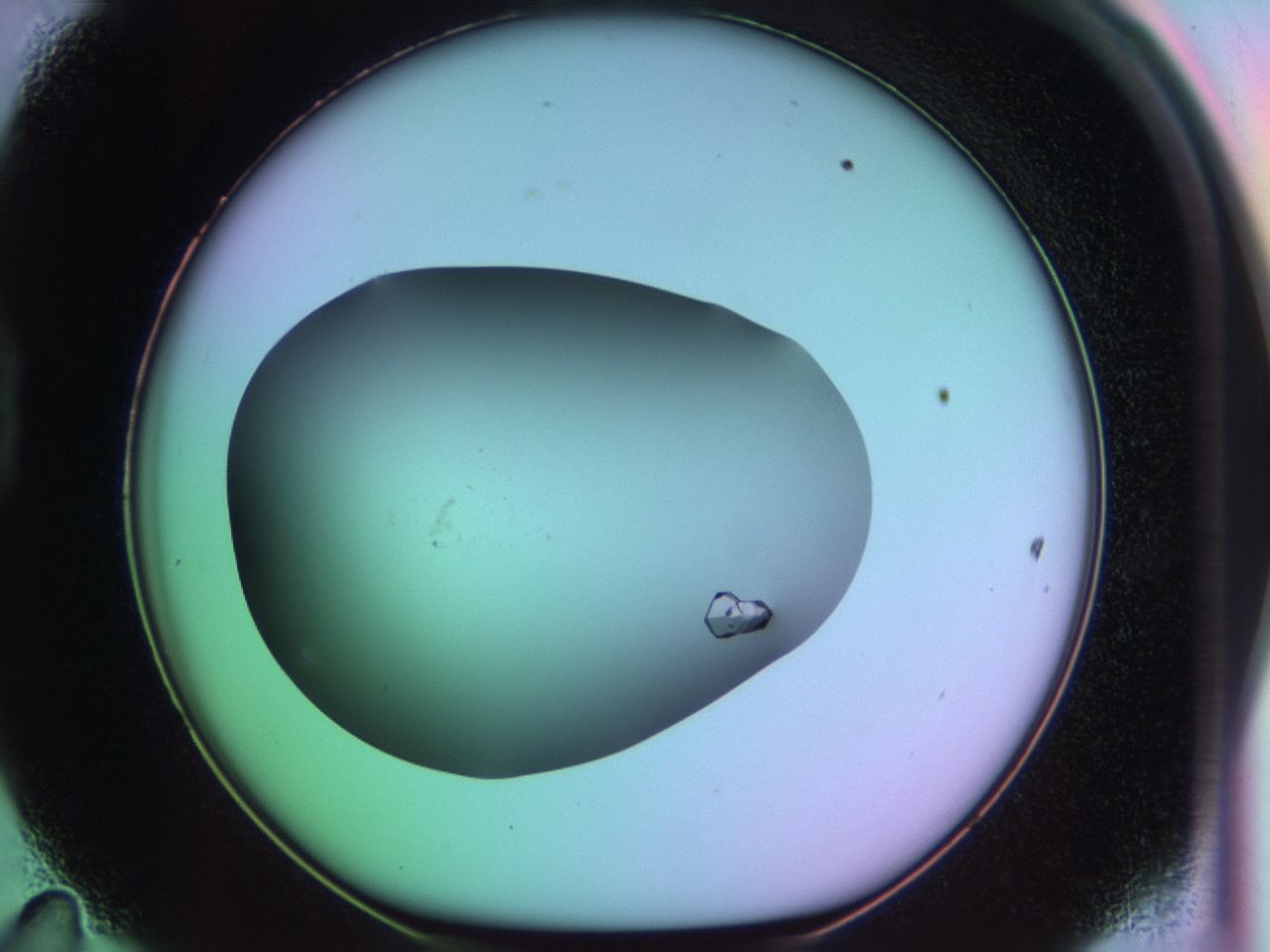 03qn_D11_ImagerDefaults_9.jpg