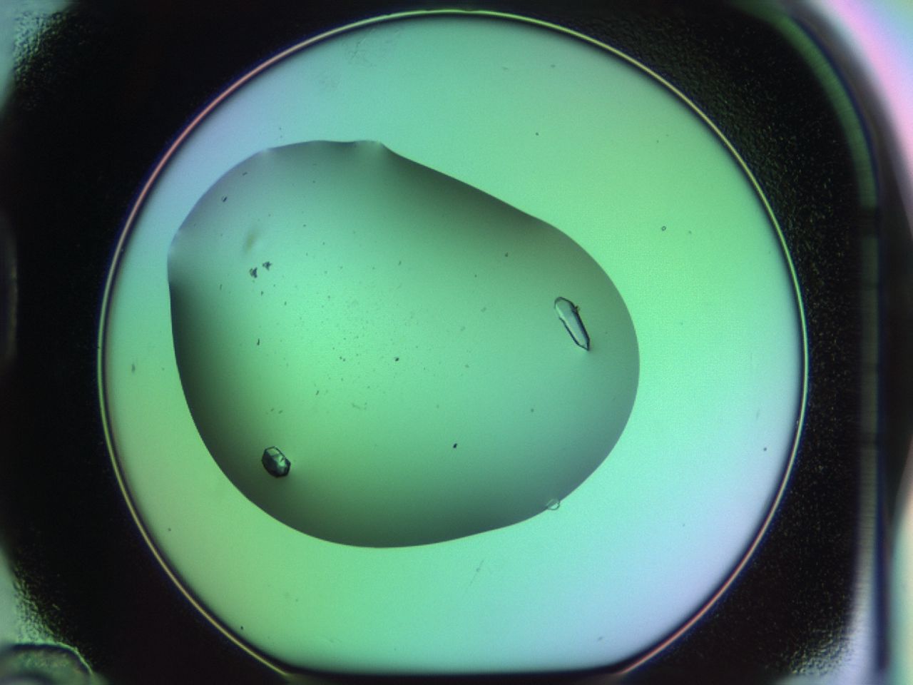 03qn_D12_ImagerDefaults_9.jpg