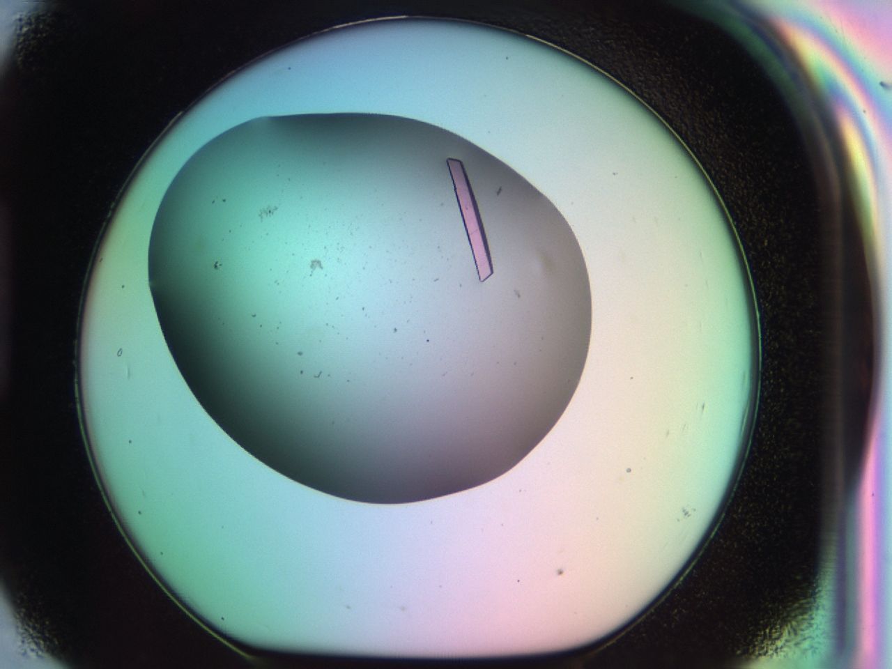 03qn_H9_ImagerDefaults_9.jpg