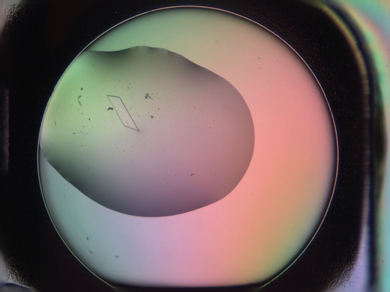 03qn_H12_ImagerDefaults_9.jpg