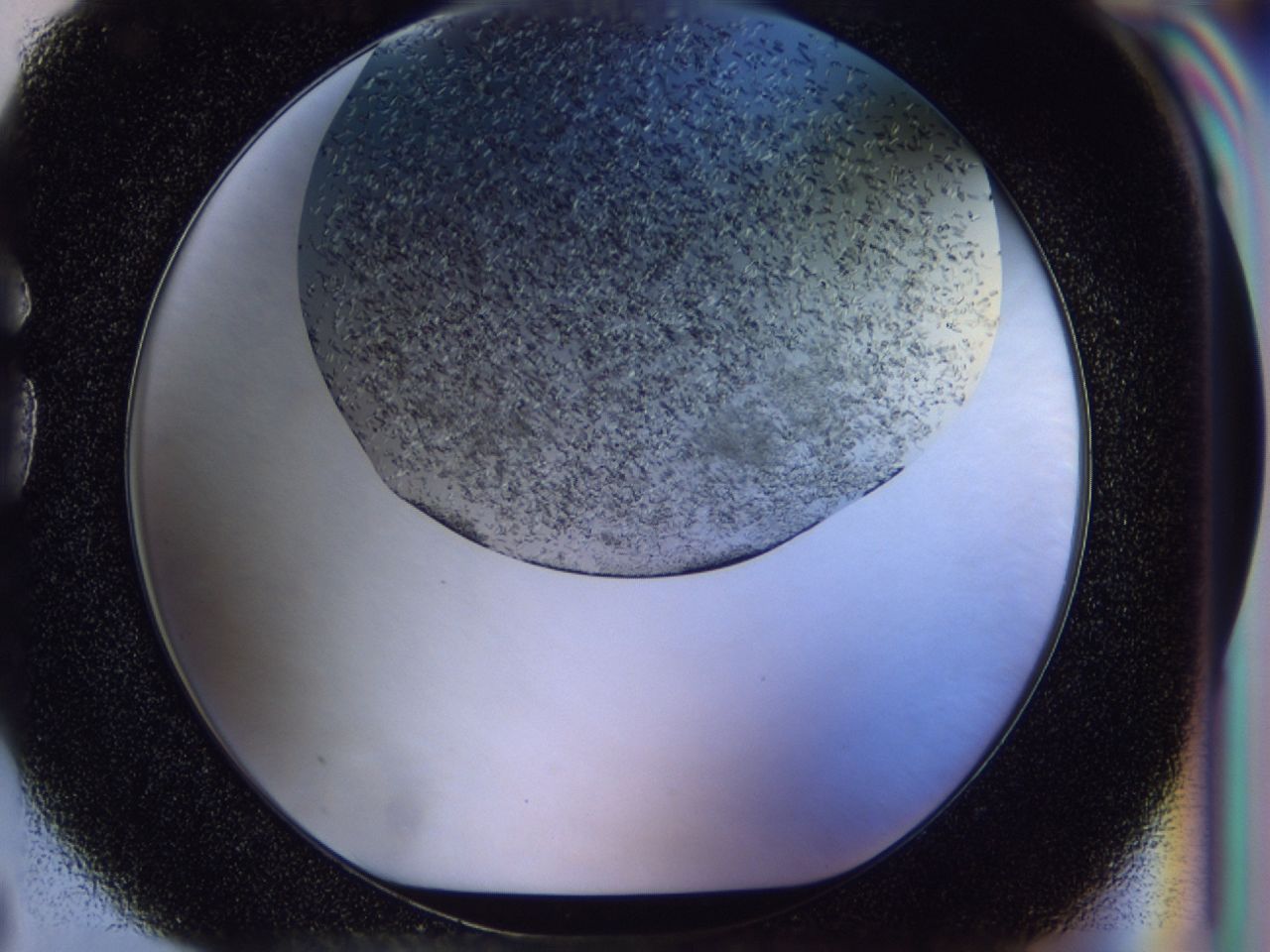 03qt_G3_ImagerDefaults_9.jpg