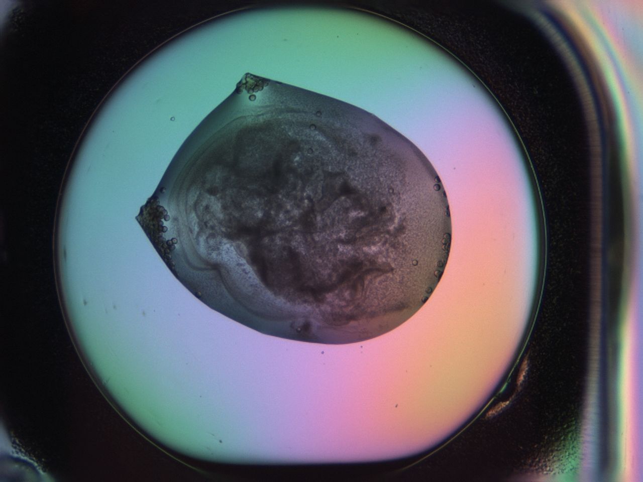03qw_G10_ImagerDefaults_6.jpg