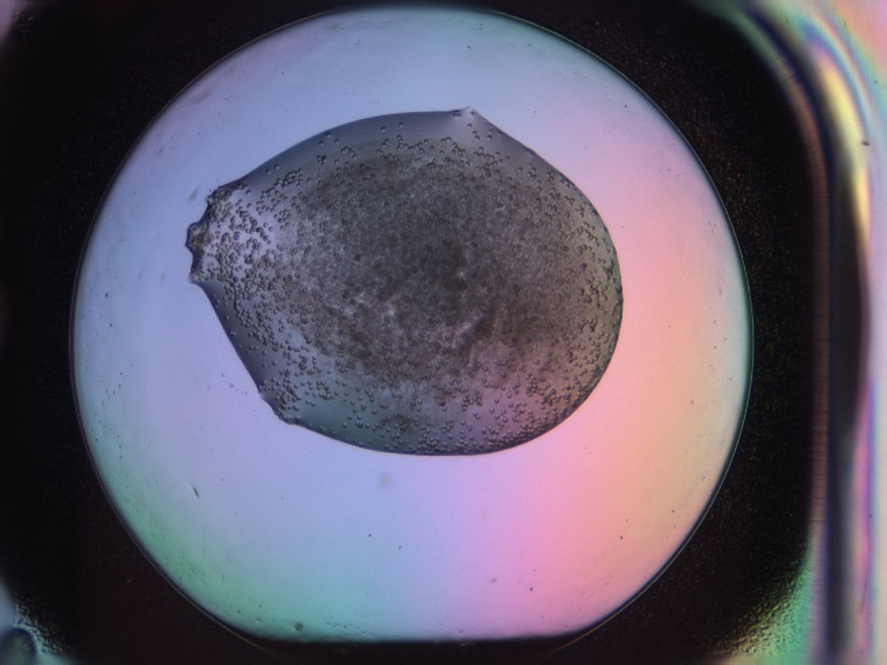 03qw_G11_ImagerDefaults_6.jpg