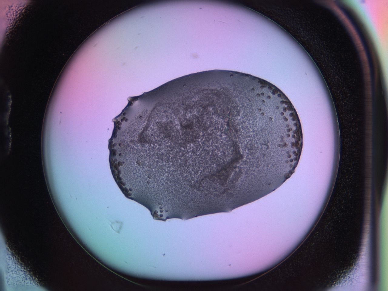 03qx_B4_ImagerDefaults_6.jpg