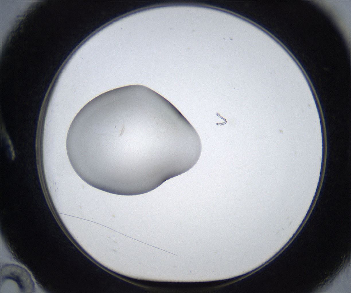 folderID854_plateID2854_batchID15388_wellNum10_profileID1_d1_r233322_ef.jpg