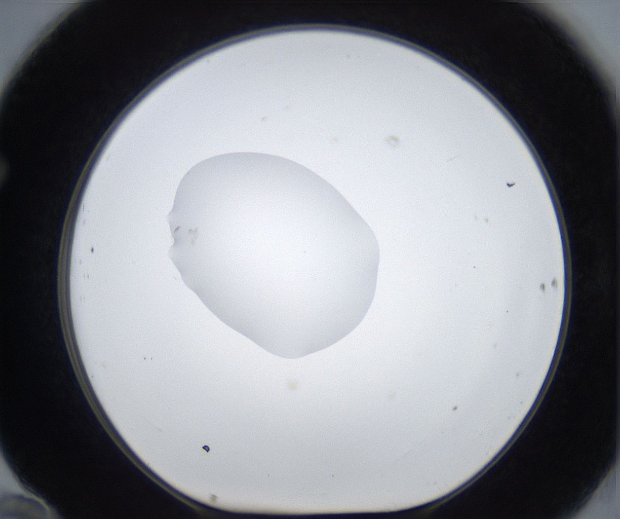 folderID854_plateID2854_batchID15388_wellNum70_profileID1_d1_r233442_ef.jpg