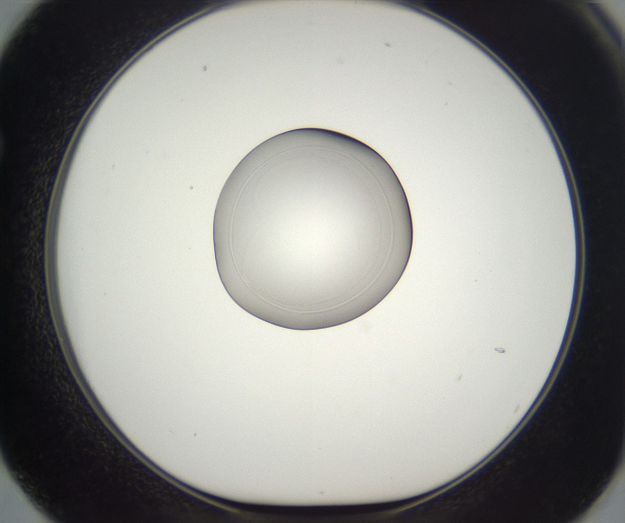 folderID855_plateID2855_batchID15399_wellNum62_profileID1_d1_r234578_ef.jpg