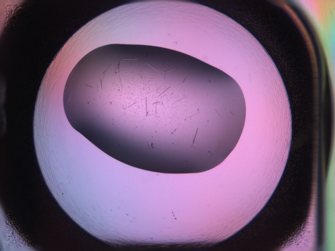 03r5_B8_ImagerDefaults_7.jpg