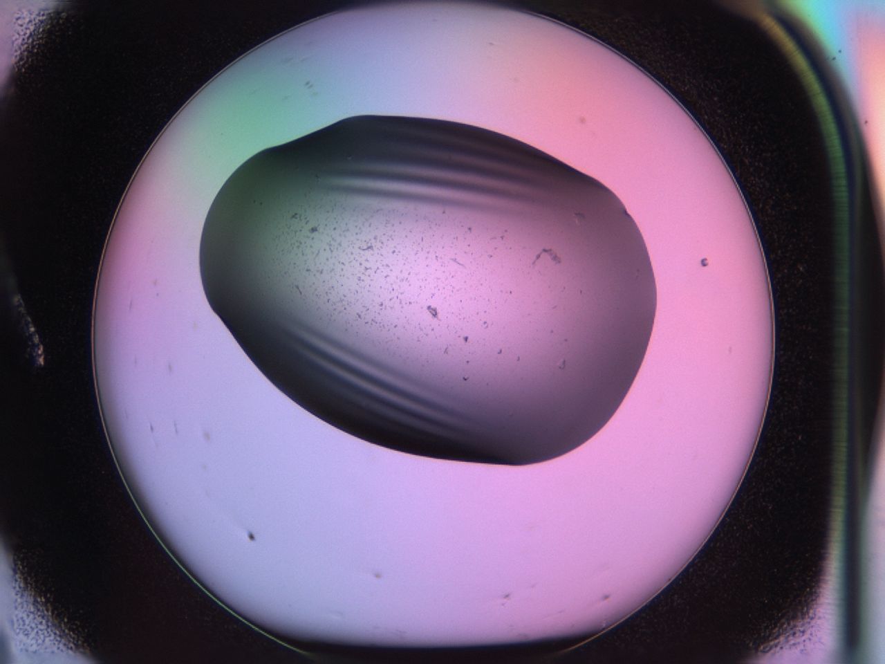 03r5_A8_ImagerDefaults_6.jpg