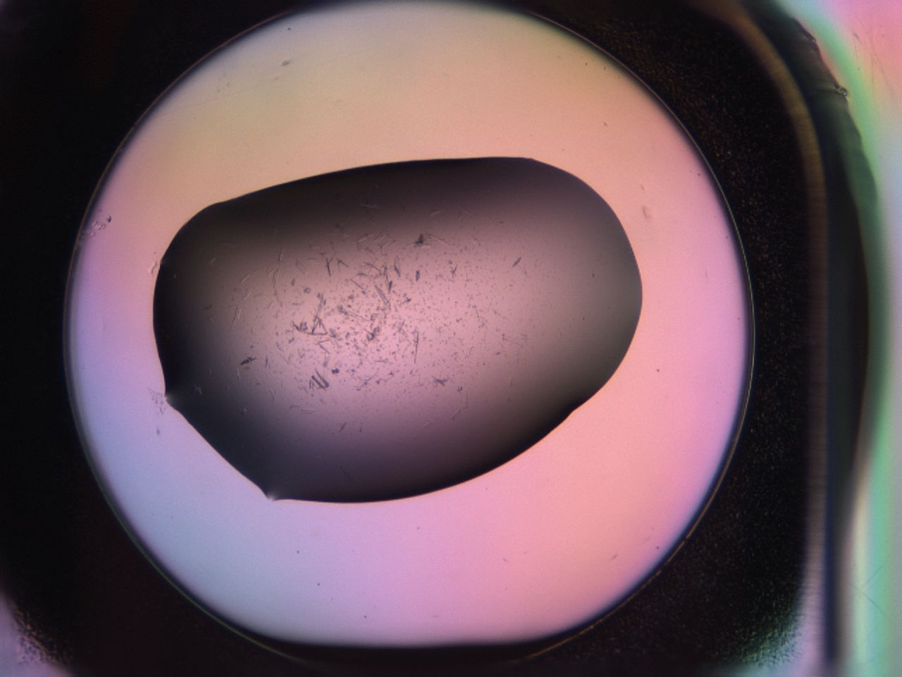 03r5_F1_ImagerDefaults_6.jpg