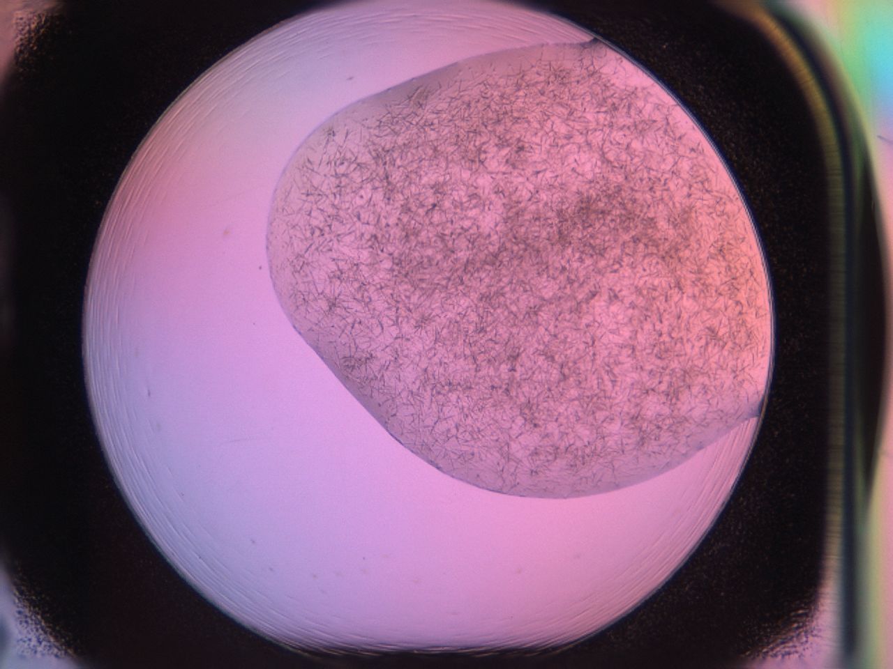 03rt_B7_ImagerDefaults_7.jpg