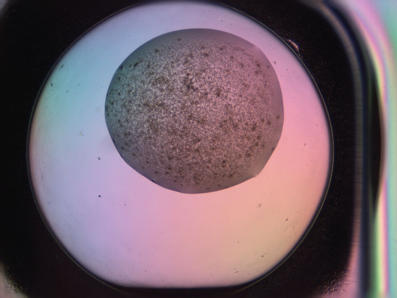 03rt_F9_ImagerDefaults_6.jpg