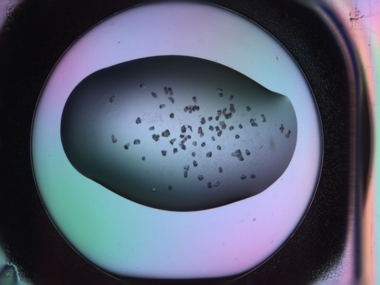 03rv_C11_ImagerDefaults_6.jpg