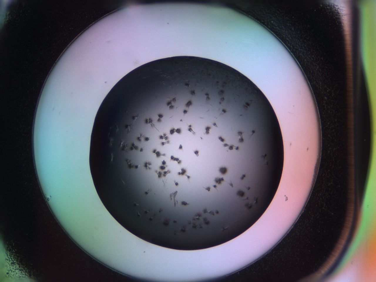 03rv_C6_ImagerDefaults_6.jpg