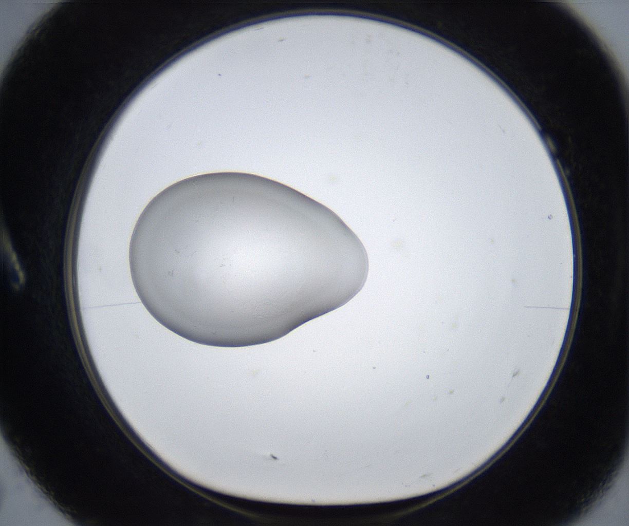 folderID860_plateID2860_batchID15406_wellNum7_profileID1_d1_r233892_ef.jpg