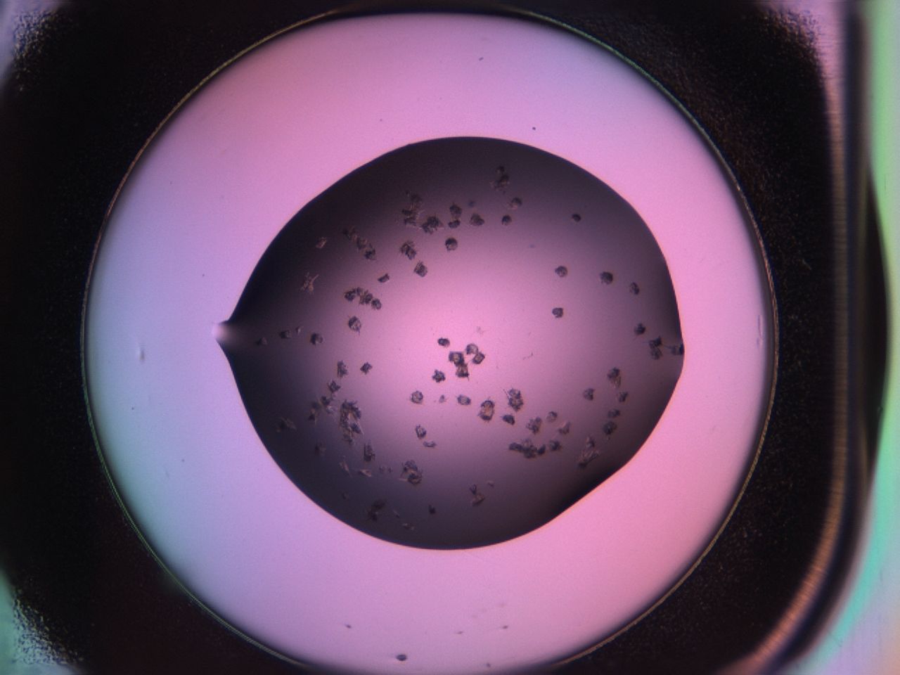 03rv_B8_ImagerDefaults_6.jpg