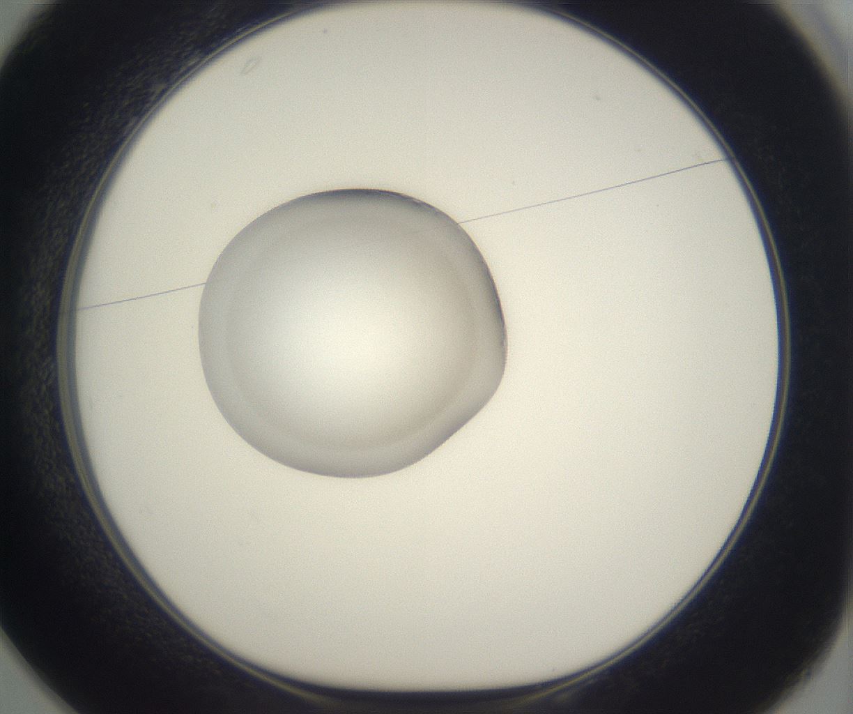 folderID861_plateID2861_batchID15409_wellNum25_profileID1_d1_r235080_ef.jpg
