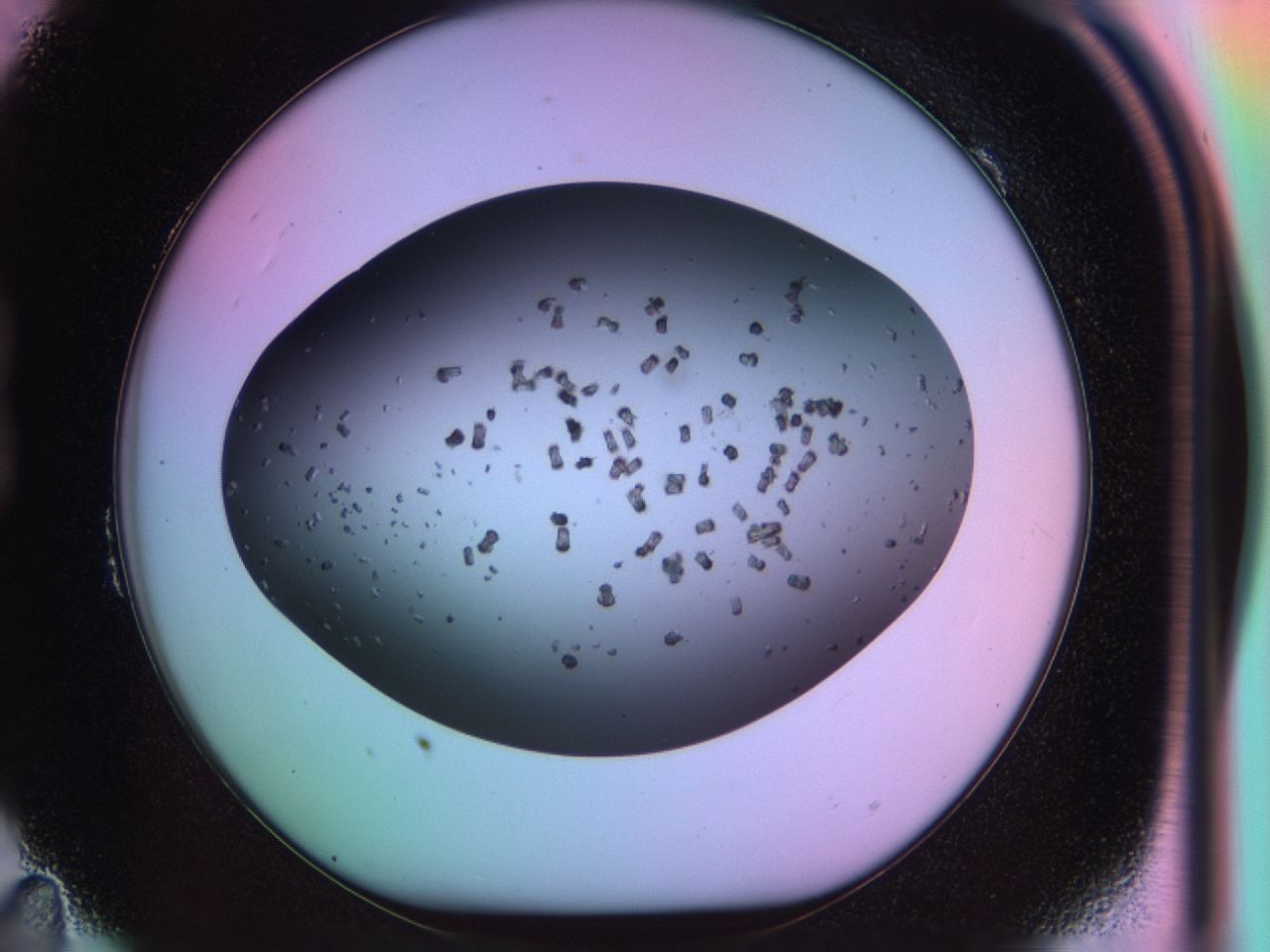 03rw_B11_ImagerDefaults_6.jpg
